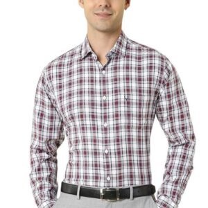 Allen Solly Men's Small Checks Casual Shirt